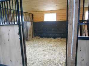 Boksy z oknami 3m/4m