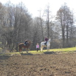 DSCN0612