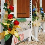 Zawody skoki, egzaminy na odznaki