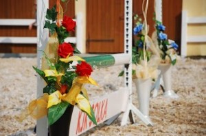 Zawody skoki, egzaminy na odznaki