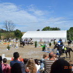 zawody w skokach przez przeszkody