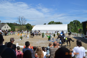 zawody w skokach przez przeszkody