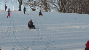 16402632_1409130799120842_6605418535544549300_o