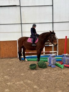 120b3822-a65f-4f43-8ba9-b79a2e585582