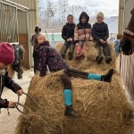 9c165cd3-f41b-442d-9c7e-c5f771a36acc