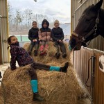 bb697a8d-66e2-4aca-b607-44d051804e6b