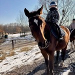 f2eb3961-e0fe-4fec-8ade-299adea93910