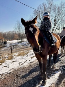 f2eb3961-e0fe-4fec-8ade-299adea93910