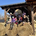 f656402f-646b-43dc-bbaa-3157a05cbe72