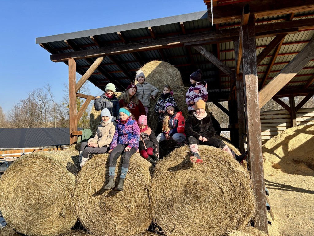 f656402f-646b-43dc-bbaa-3157a05cbe72