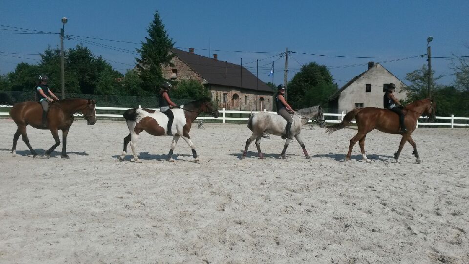 Nauka jazdy konnej