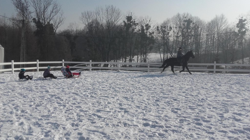 Zimowisko KJK Solka